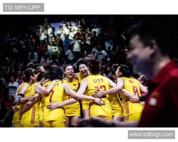 北京排球队运营分析：成功经验与教训的深度探讨与反思