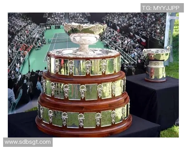 北京网球队在世界杯中的战术分析与表现评估