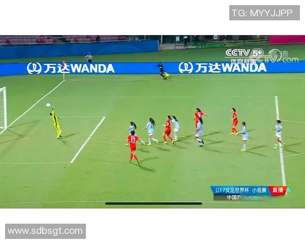 北京羽毛球队在世界杯预选赛中的状态分析与表现评估