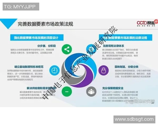 杭州足球队防反战术创新探讨与未来发展展望 杭州足球队防反战术创新探讨与未来发展展望