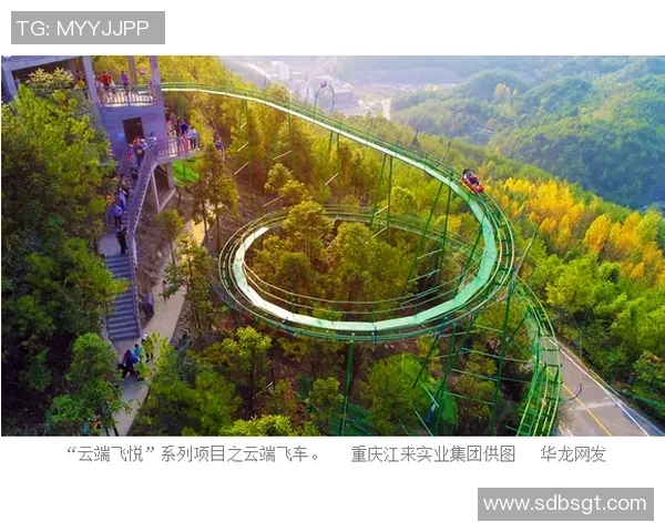 重庆排球队协同进化探讨团队配合的新模式与挑战